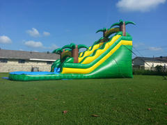 Waterslide Green Tropical Waterslide Green Tropical