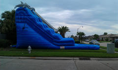 Waterslide Lg Blue Dolphin Waterslide Lg Blue Dolphin